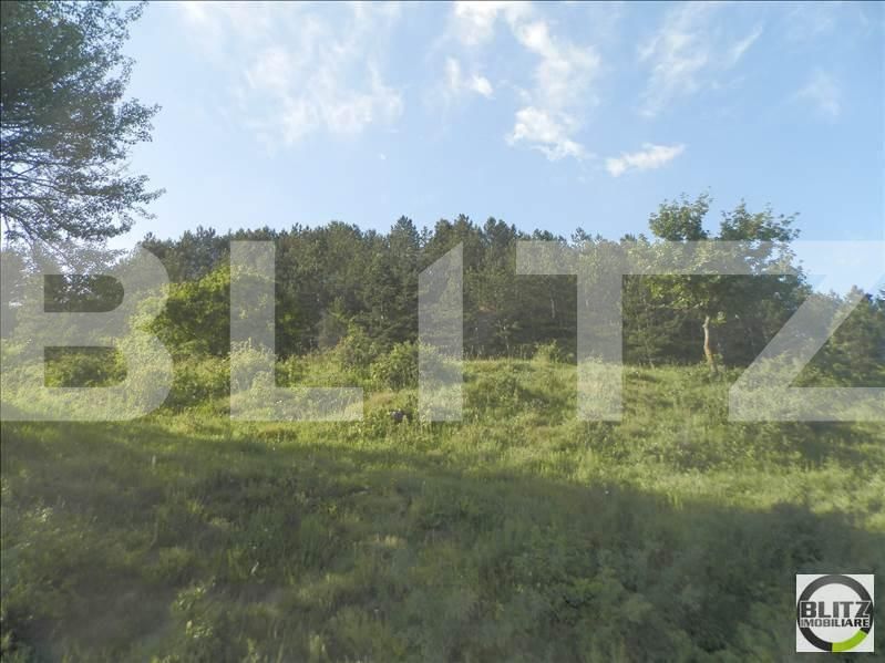 Teren de vânzare Grigorescu - 23151TV | BLITZ Cluj-Napoca | Poza3