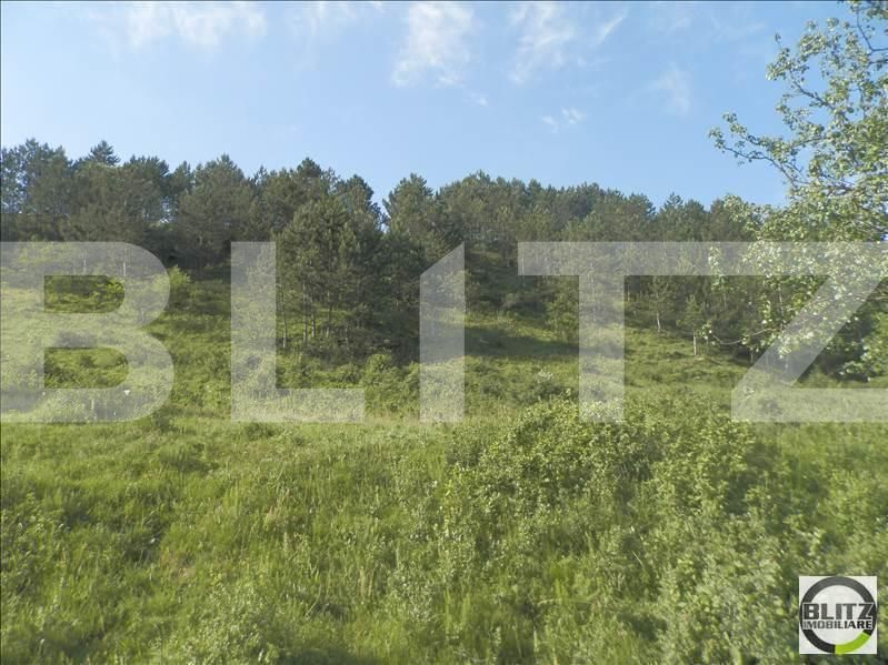 Teren de vânzare Grigorescu - 23151TV | BLITZ Cluj-Napoca | Poza4