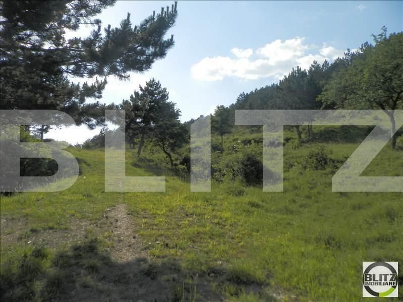 Teren de vânzare Grigorescu - 23151TV | BLITZ Cluj-Napoca | Poza2