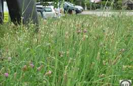 Teren 1166 mp pentru constructie, POT 75%, CUT 2,8