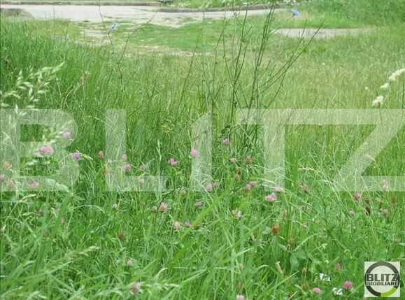 Teren de vânzare Gruia - 23154TV | BLITZ Cluj-Napoca | Poza1