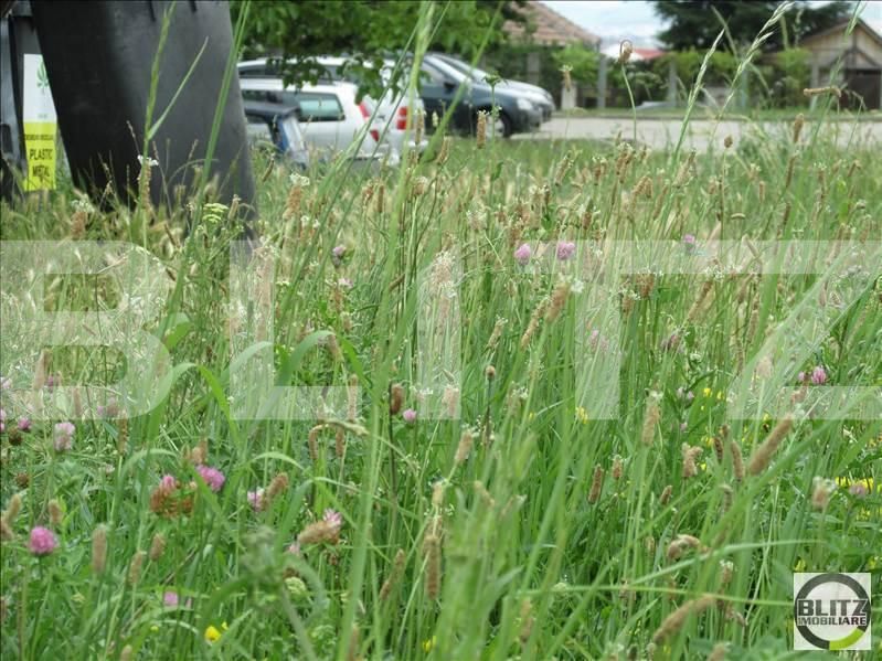 Teren de vânzare Gruia - 23154TV | BLITZ Cluj-Napoca | Poza2