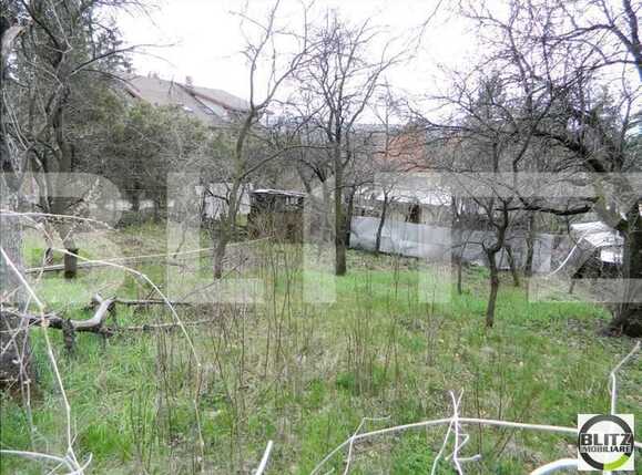 Teren de vânzare Gruia - 23155TV | BLITZ Cluj-Napoca | Poza2