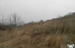 Vanzare teren, 879 mp, front 67 m, POT 35 %, CUT 0,9, zona Gruia