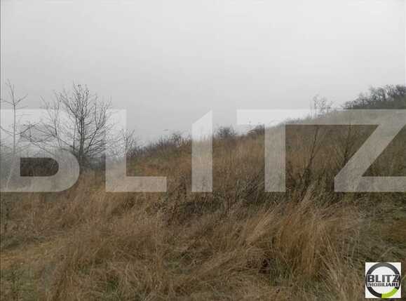 Teren de vânzare Gruia - 23156TV | BLITZ Cluj-Napoca | Poza4