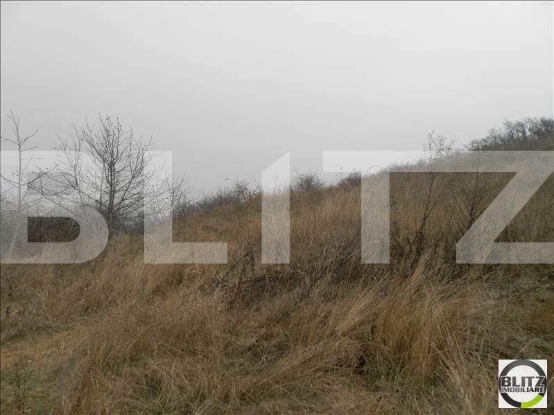 Teren de vânzare Gruia - 23156TV | BLITZ Cluj-Napoca | Poza4