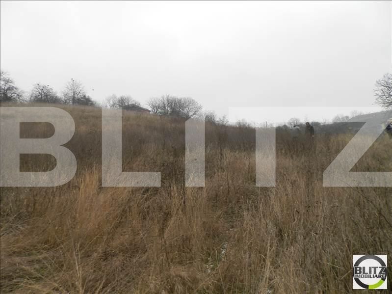 Teren de vânzare Gruia - 23156TV | BLITZ Cluj-Napoca | Poza5