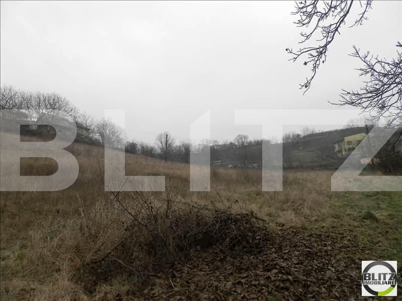 Teren de vânzare Gruia - 23156TV | BLITZ Cluj-Napoca | Poza7