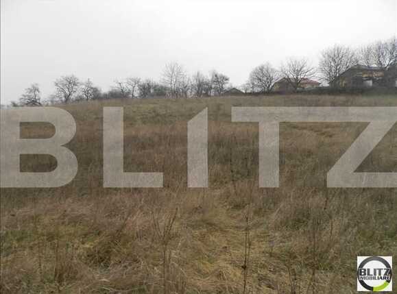 Teren de vânzare Gruia - 23157TV | BLITZ Cluj-Napoca | Poza5