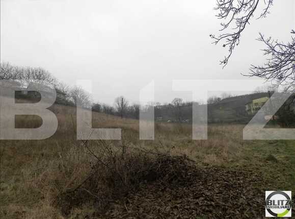 Teren de vânzare Gruia - 23157TV | BLITZ Cluj-Napoca | Poza3