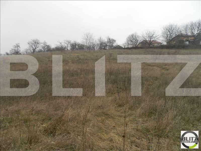 Teren de vânzare Gruia - 23157TV | BLITZ Cluj-Napoca | Poza5