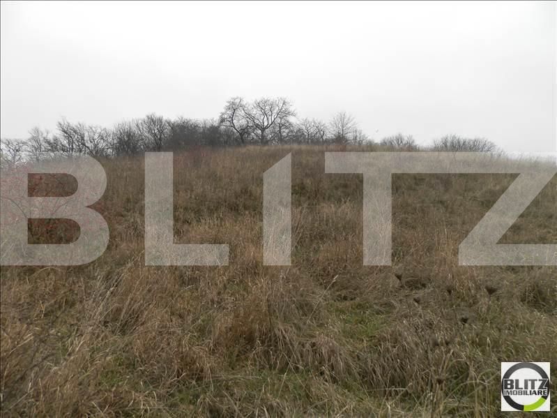 Teren de vânzare Gruia - 23157TV | BLITZ Cluj-Napoca | Poza11