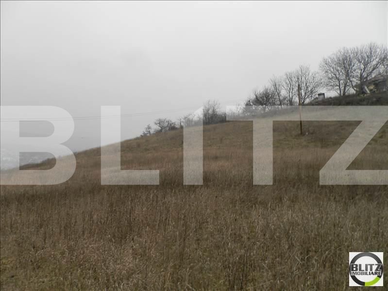Teren de vânzare Gruia - 23157TV | BLITZ Cluj-Napoca | Poza15