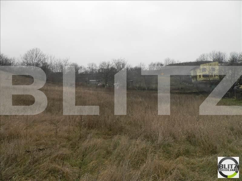 Teren de vânzare Gruia - 23157TV | BLITZ Cluj-Napoca | Poza6