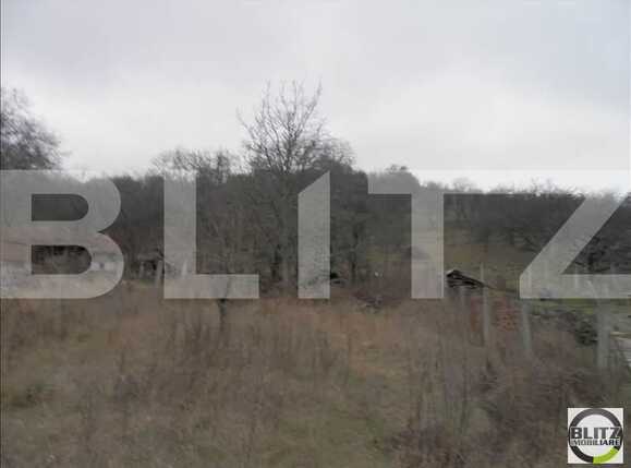 Teren de vânzare Gruia - 23158TV | BLITZ Cluj-Napoca | Poza4