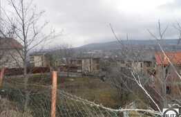 Vanzare 500 mp si front generos de 30 ml. Zona linistita si priveliste frumoasa