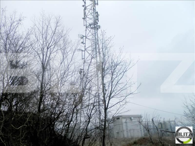 Teren de vânzare Gruia - 23160TV | BLITZ Cluj-Napoca | Poza2