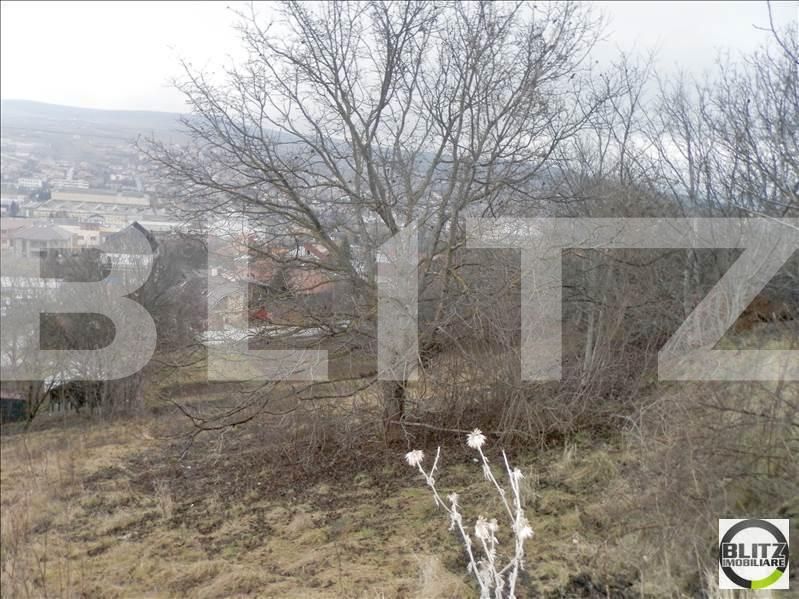 Teren de vânzare Gruia - 23160TV | BLITZ Cluj-Napoca | Poza9