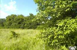 Teren cu priveliste, 380 mp front 17 ml, PUZ si certificat de urbanism