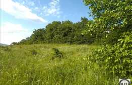 Teren cu priveliste, 380 mp front 17 ml, PUZ si certificat de urbanism