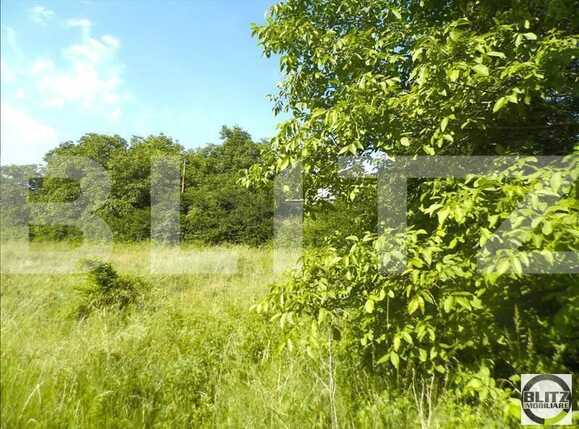 Teren de vânzare Gruia - 23161TV | BLITZ Cluj-Napoca | Poza7