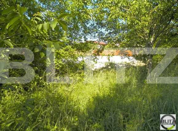 Teren de vânzare Gruia - 23161TV | BLITZ Cluj-Napoca | Poza8