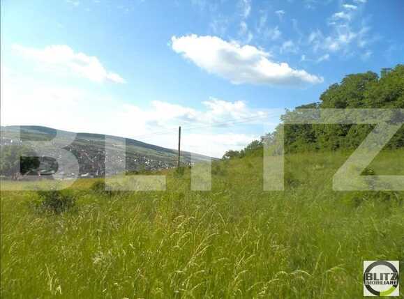 Teren de vânzare Gruia - 23161TV | BLITZ Cluj-Napoca | Poza5