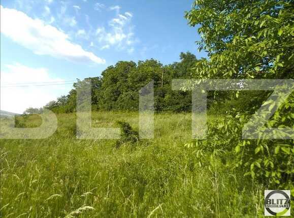 Teren de vânzare Gruia - 23161TV | BLITZ Cluj-Napoca | Poza6