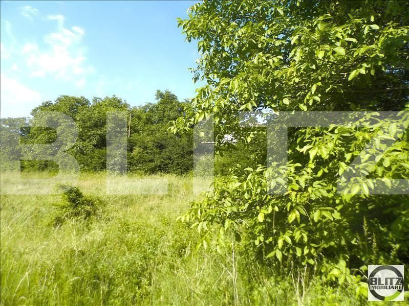 Teren de vânzare Gruia - 23161TV | BLITZ Cluj-Napoca | Poza7