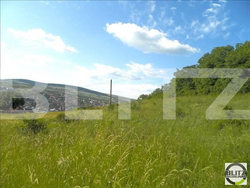 Teren de vânzare Gruia - 23161TV | BLITZ Cluj-Napoca | Poza5