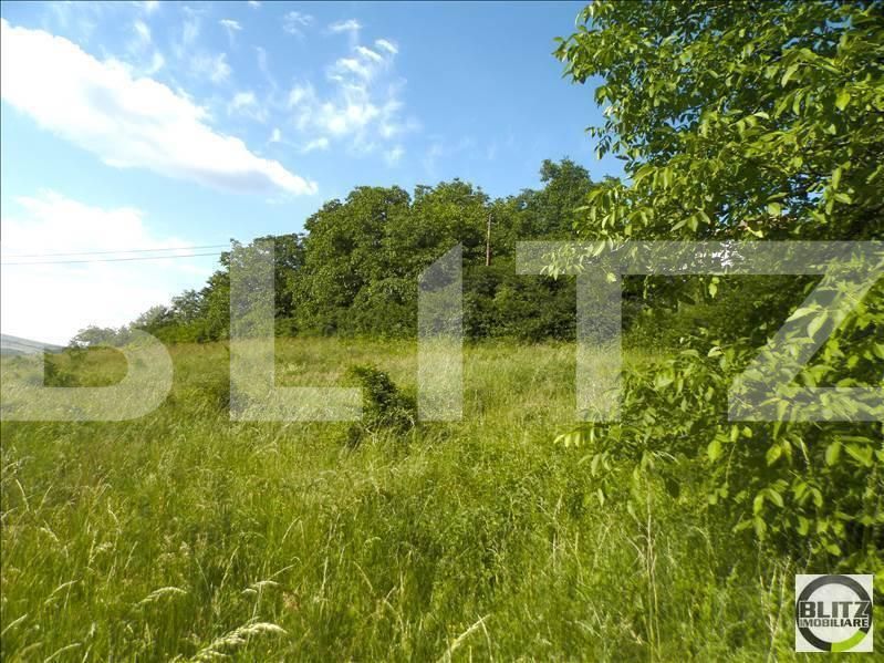 Teren de vânzare Gruia - 23161TV | BLITZ Cluj-Napoca | Poza6