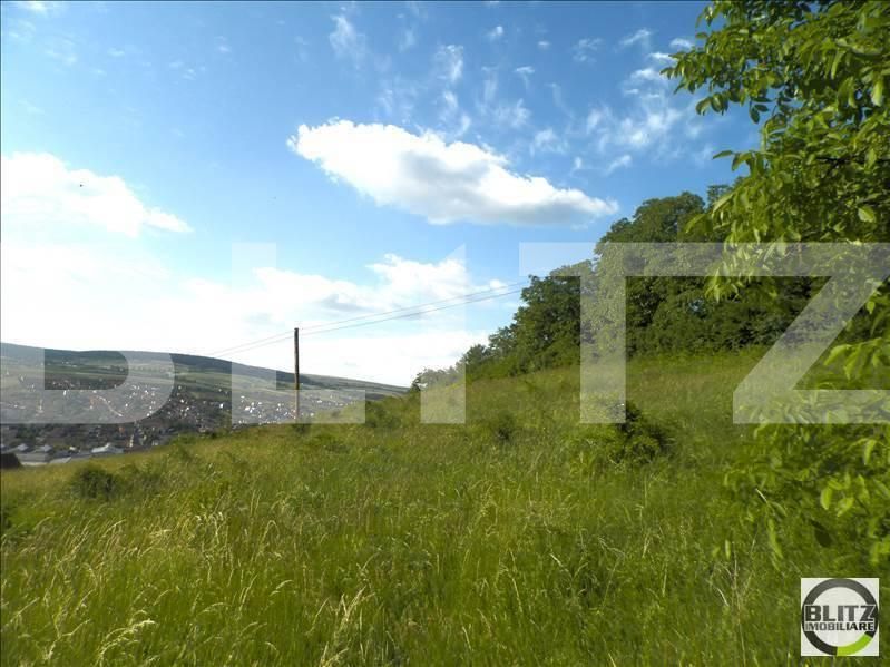 Teren de vânzare Gruia - 23161TV | BLITZ Cluj-Napoca | Poza2