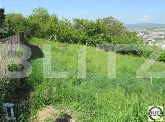 Teren de vânzare Gruia - 23165TV | BLITZ Cluj-Napoca | Poza2