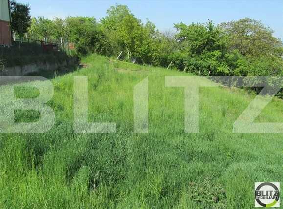 Teren de vânzare Gruia - 23165TV | BLITZ Cluj-Napoca | Poza3