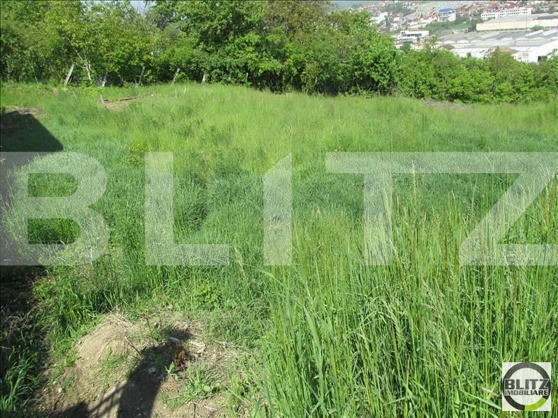 Teren de vânzare Gruia - 23165TV | BLITZ Cluj-Napoca | Poza4