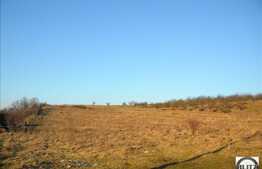 Teren in zona linistita cu acces usor. Potrivit pentru constructie de casa !