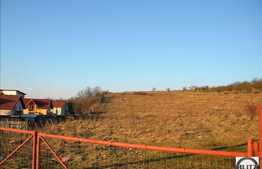 Teren in zona linistita cu acces usor. Potrivit pentru constructie de casa !