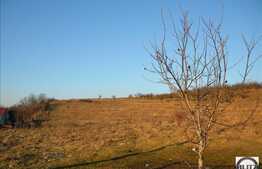 Teren in zona linistita cu acces usor. Potrivit pentru constructie de casa !