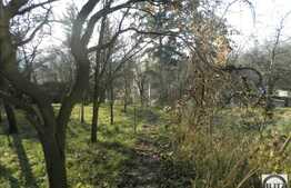 Teren de vanzare in Gruia, 560 mp. Panorama superba!