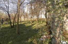 Teren de vanzare in Gruia, 560 mp. Panorama superba!