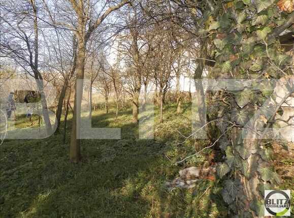 Teren de vânzare Gruia - 23170TV | BLITZ Cluj-Napoca | Poza3
