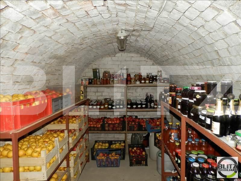 Teren de vânzare Gruia - 23170TV | BLITZ Cluj-Napoca | Poza12