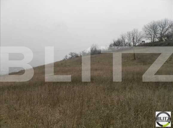 Teren de vânzare Gruia - 23171TV | BLITZ Cluj-Napoca | Poza9