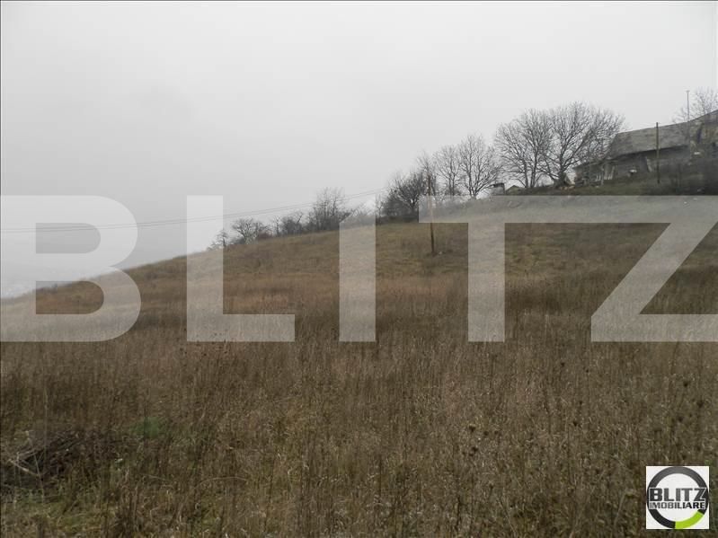 Teren de vânzare Gruia - 23171TV | BLITZ Cluj-Napoca | Poza6