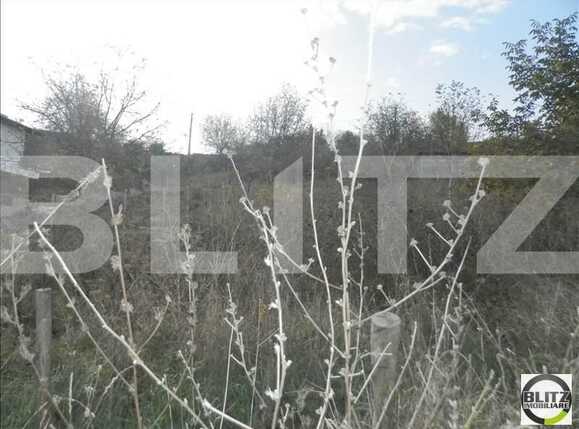 Teren de vânzare Gruia - 23172TV | BLITZ Cluj-Napoca | Poza4