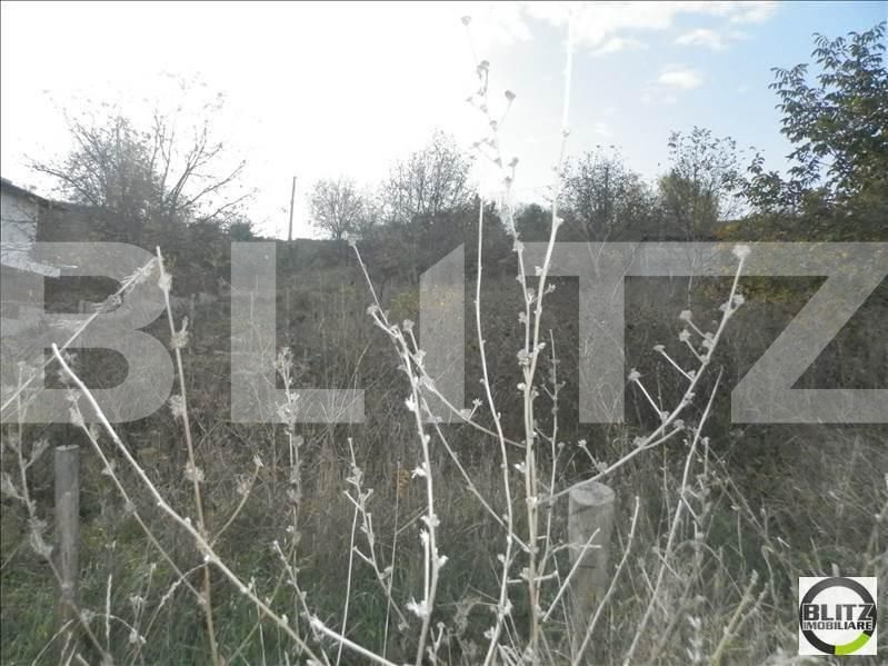 Teren de vânzare Gruia - 23172TV | BLITZ Cluj-Napoca | Poza4