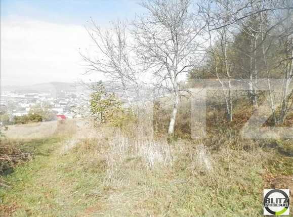 Teren de vânzare Gruia - 23174TV | BLITZ Cluj-Napoca | Poza1