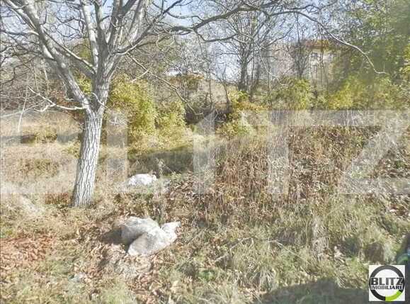 Teren de vânzare Gruia - 23174TV | BLITZ Cluj-Napoca | Poza3