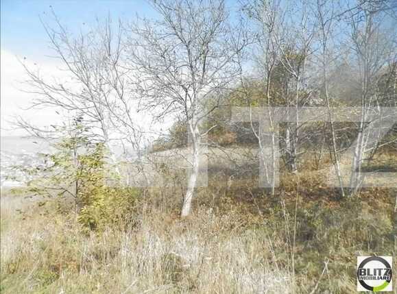 Teren de vânzare Gruia - 23174TV | BLITZ Cluj-Napoca | Poza4