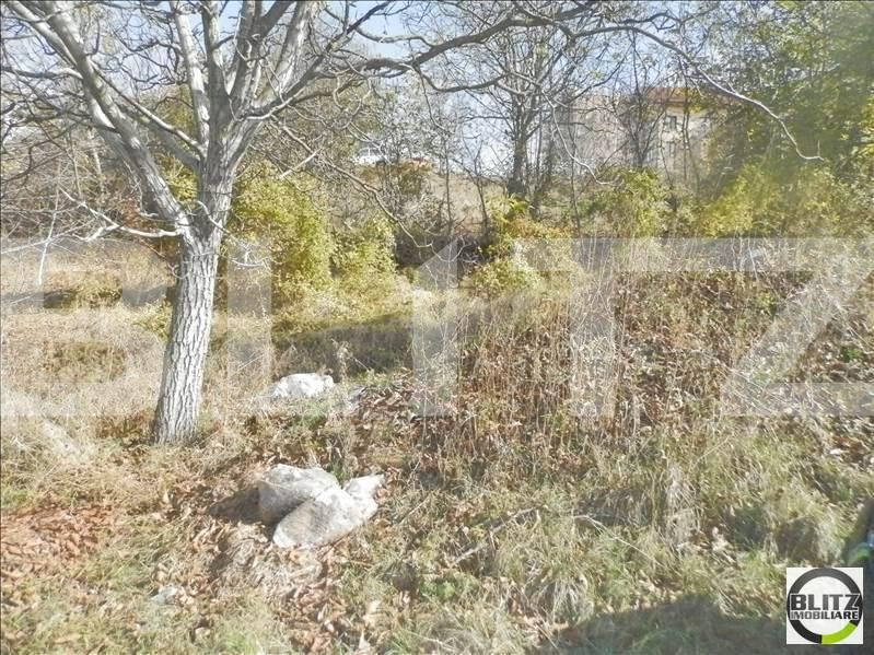 Teren de vânzare Gruia - 23174TV | BLITZ Cluj-Napoca | Poza3